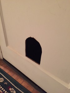 Hole_for_cats